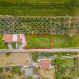  For Sale - (€ 0 / m2), Agricultural 700 m2 Orfano 8165637 thumb2