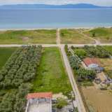  For Sale - (€ 0 / m2), Agricultural 700 m2 Orfano 8165637 thumb5