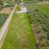  For Sale - (€ 0 / m2), Agricultural 700 m2 Orfano 8165637 thumb3