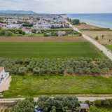  For Sale - (€ 0 / m2), Agricultural 700 m2 Orfano 8165637 thumb1
