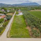  For Sale - (€ 0 / m2), Agricultural 700 m2 Orfano 8165637 thumb6
