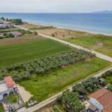  For Sale - (€ 0 / m2), Agricultural 700 m2 Orfano 8165637 thumb0