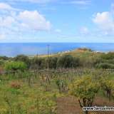  Land with rural house for sale Belvedere Marittimo 5765737 thumb9