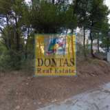  (For Sale) Land Plot || East Attica/Dionysos - 800 Sq.m, 260.000€ Dionysos 6865843 thumb2