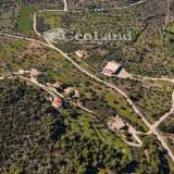  For Sale - (€ 0 / m2), Agricultural 4490 m2 Kranidi 8065988 thumb6