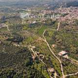  For Sale - (€ 0 / m2), Agricultural 4490 m2 Kranidi 8065988 thumb0