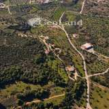  For Sale - (€ 0 / m2), Agricultural 4490 m2 Kranidi 8065988 thumb9