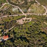  For Sale - (€ 0 / m2), Agricultural 4490 m2 Kranidi 8065988 thumb4