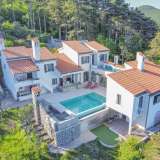  OPATIJA RIVIERA - a private villa with a special arrangement with a swimming pool and a panoramic view of the sea Opatija 8166127 thumb0