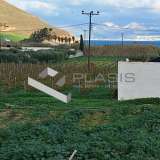  (For Sale) Land Agricultural Land  || Cyclades/Paros - 5.218 Sq.m, 360.000€ Paros 8066212 thumb3