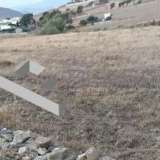  (For Sale) Land Agricultural Land  || Cyclades/Paros - 7.762 Sq.m, 55.000€ Paros 8066220 thumb2