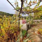  Дом с садом, камином и панорамным видом с. Мраченик 7966259 thumb39