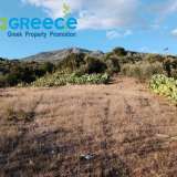  For sale an investment plot of almost 20 acres in the area of Troizinia, specifically in Agia Eleni, ideal for cultivation with productive prickly pears, which can be used for olive production and any kind of cultivation due to the fertile soil.INFO A Parakampilia 8166264 thumb2