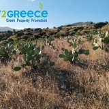  For sale an investment plot of almost 20 acres in the area of Troizinia, specifically in Agia Eleni, ideal for cultivation with productive prickly pears, which can be used for olive production and any kind of cultivation due to the fertile soil.INFO A Parakampilia 8166264 thumb9