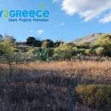  For sale an investment plot of almost 20 acres in the area of Troizinia, specifically in Agia Eleni, ideal for cultivation with productive prickly pears, which can be used for olive production and any kind of cultivation due to the fertile soil.INFO A Parakampilia 8166264 thumb0