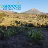  For sale an investment plot of almost 20 acres in the area of Troizinia, specifically in Agia Eleni, ideal for cultivation with productive prickly pears, which can be used for olive production and any kind of cultivation due to the fertile soil.INFO A Parakampilia 8166264 thumb1