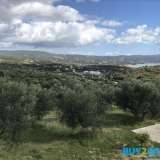  FOR SALE COMPLEX OF 4 TOURIST FURNISHED HOUSES WITH A TOTAL AREA OF 160.3 SQM (40,075 SQM X 4) IN METHONI AND SPECIFICALLY IN FINIKOUNTATHERE IS A POSSIBILITY OF BUILDING OTHER HOUSES / HOTEL UNIT IN THE PLOT OF TOTAL AREA 11,228.74 sq.m. AND THERE IS ALS Methoni 8166266 thumb4