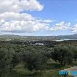  FOR SALE COMPLEX OF 4 TOURIST FURNISHED HOUSES WITH A TOTAL AREA OF 160.3 SQM (40,075 SQM X 4) IN METHONI AND SPECIFICALLY IN FINIKOUNTATHERE IS A POSSIBILITY OF BUILDING OTHER HOUSES / HOTEL UNIT IN THE PLOT OF TOTAL AREA 11,228.74 sq.m. AND THERE IS ALS Methoni 8166266 thumb1