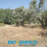  Land for sale in Gortyna 600 sq.m. and specifically in the place Agadaki in MylosInformation: 00302107710150 â€“ 00306945051223BUY2GREECEâ€“ Real Estate Tsioumis TheodorePapagouAvenue 147 Zografouhttps://www.buy2greece.gr/en... Gortina 8166295 thumb0