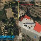  Land for sale in Gortyna 600 sq.m. and specifically in the place Agadaki in MylosInformation: 00302107710150 â€“ 00306945051223BUY2GREECEâ€“ Real Estate Tsioumis TheodorePapagouAvenue 147 Zografouhttps://www.buy2greece.gr/en... Gortina 8166295 thumb1