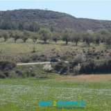  For sale a plot of 5,780 sq.m. in Kallikratia, but outside the plan but in the process of integration, it is 550 meters from the settlement and more than 5 kilometers from the seaInformation on : 2107710150 - 6945051223Tsioumis Properties - BUY2GREECE147  Kallikrateia 8166303 thumb5