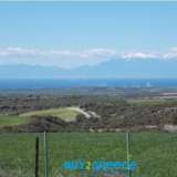  For sale a plot of 5,780 sq.m. in Kallikratia, but outside the plan but in the process of integration, it is 550 meters from the settlement and more than 5 kilometers from the seaInformation on : 2107710150 - 6945051223Tsioumis Properties - BUY2GREECE147  Kallikrateia 8166303 thumb3