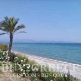  For sale a plot of 9,000 sq.m. in Stageira and specifically in the area of â€‹â€‹Nea Roda, outside the city plan and ideal for tourist exploitationInformation: 00302107710150 â€“ 00306945051223BUY2GREECEâ€“ Real Estate Tsioumis Stagiron - Akanthou 8166341 thumb6