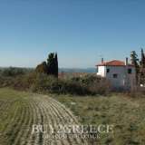  For sale a plot of 926 sq.m. in Kalandra, Halkidiki, within the settlement, level and corner with the possibility of building around 400 sq.m.Information: 00302107710150 â€“ 00306945051223BUY2GREECEâ€“ Real Estate Tsioumis Theodore Kalandra 8166344 thumb2