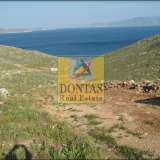  (For Sale) Land Plot || Dodekanisa/Kalymnos - 540.000 Sq.m, 12.500.000€ Kalimnos 7966501 thumb1