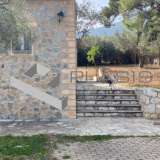  (For Sale) Residential Detached house || East Attica/Paiania - 500 Sq.m, 6 Bedrooms, 2.270.000€ Athens 7666643 thumb2