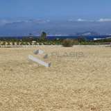  (For Sale) Land Agricultural Land  || Cyclades/Paros - 7.000 Sq.m, 350.000€ Paros 8166674 thumb4