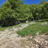  ISTRIA, PIĆAN - Complex of land with permission on the edge of the village Pićan 8166689 thumb1