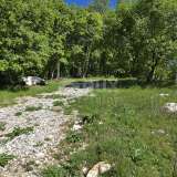  ISTRIA, PIĆAN - Complex of land with permission on the edge of the village Pićan 8166689 thumb9