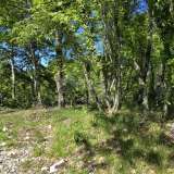  ISTRIA, PIĆAN - Complex of land with permission on the edge of the village Pićan 8166689 thumb7