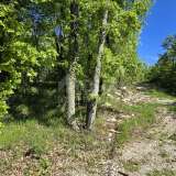  ISTRIA, PIĆAN - Complex of land with permission on the edge of the village Pićan 8166689 thumb5