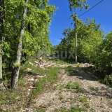 ISTRIA, PIĆAN - Complex of land with permission on the edge of the village Pićan 8166689 thumb4