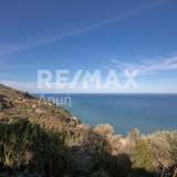  For Sale - (€ 0 / m2), Agricultural 7412 m2 Zagora 8066009 thumb2