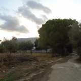  (For Sale) Land Plot || East Attica/Pallini - 4.700 Sq.m, 2.100.000€ Athens 6866950 thumb3