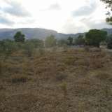  (For Sale) Land Plot || East Attica/Pallini - 4.700 Sq.m, 2.100.000€ Athens 6866950 thumb0