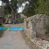  For sale an even and buildable plot in Dendiatika, Paxos 175 sq.m. of faÃ§ade with a building factor of 1.2, by way of derogation, within a settlement in a green area of the island, and in a privileged area ideal for tourist exploitation, there are seve Paxoi 7766950 thumb4