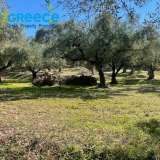  PLOT FOR SALE 12.000sqm, in Zakynthos, in Alykes, buildable, with unlimited views, outside the settlement.Ideal for investment and tourist exploitation at a distance of 7km from Alikanas and 8.5km from beaches.INFORMATION IN : (+30)6945051223 - (+30)2 Alykes 7766966 thumb0
