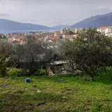   Seljanovo 6467170 thumb0