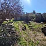   Seljanovo 6467170 thumb1