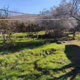   Seljanovo 6467170 thumb2