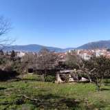   Seljanovo 6467170 thumb3