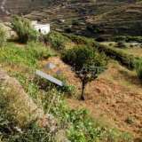  (For Rent) Land Agricultural Land  || Cyclades/Tinos-Exomvourgo - 4.200 Sq.m, 600€ Tinos 7867240 thumb6