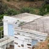  (For Rent) Land Agricultural Land  || Cyclades/Tinos-Exomvourgo - 4.200 Sq.m, 600€ Tinos 7867240 thumb10