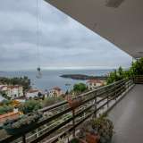   Volos 6567241 thumb1