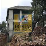  (For Sale) Residential Detached house || East Attica/Afidnes (Kiourka) - 290 Sq.m, 190.000€ Afidnes 8067307 thumb0