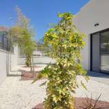 Villas avec Piscine et Jardin à Polop Alicante Alicante 8167462 thumb14